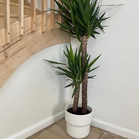 L Appartement Sete Magnifique Duplex Climatise Luaran gambar