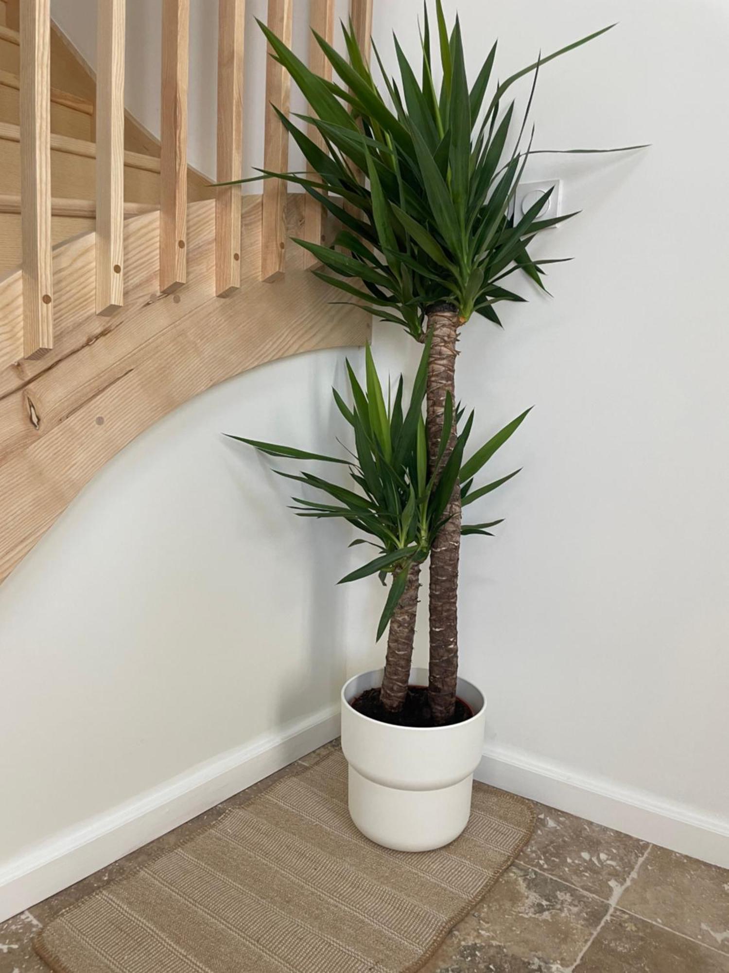 L Appartement Sete Magnifique Duplex Climatise Luaran gambar